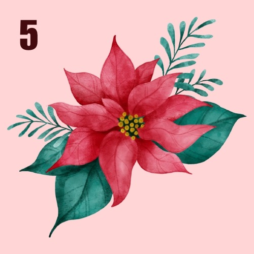 Banish Burnout Video Advent Calendar Day 5